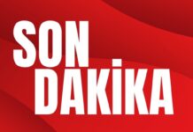 Beşiktaş’ta birinci ayrılık resmen açıklandı! Kristjan Asllani’nin opsiyonu kullanılmadı